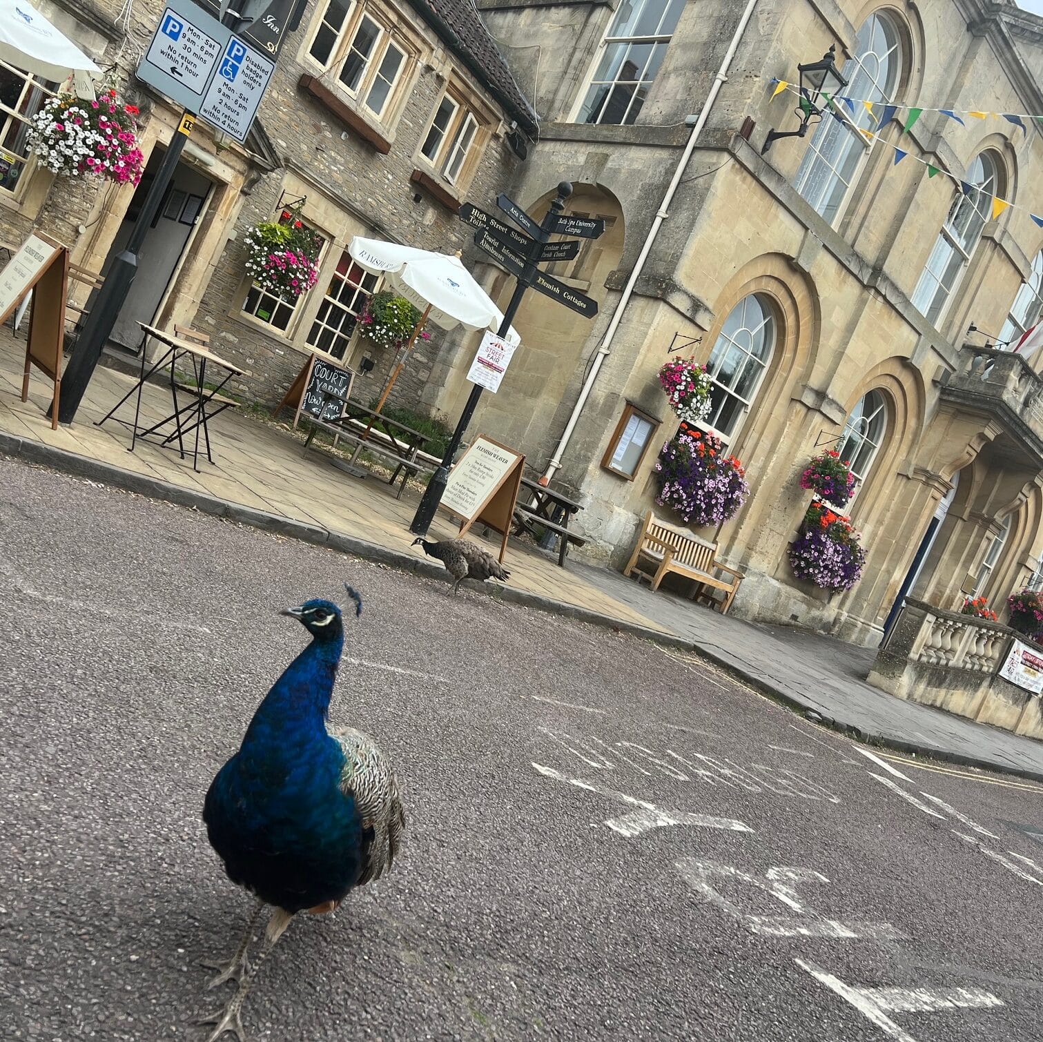 The Home of Root & River, Corsham, Wiltshire